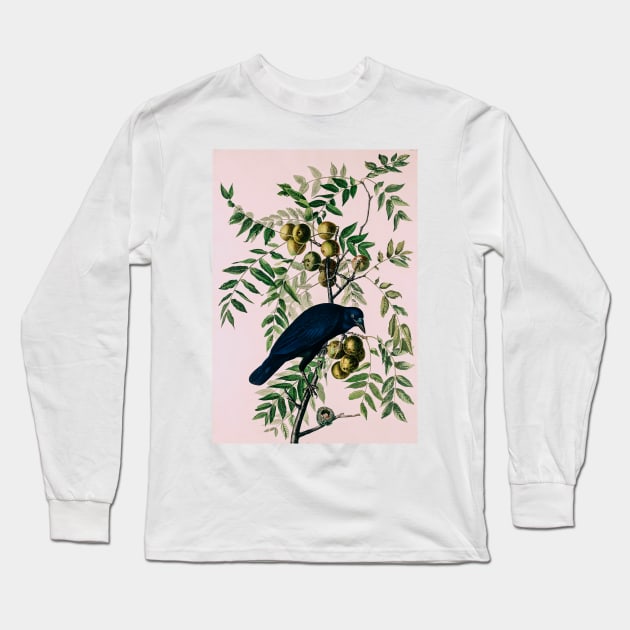 Bird of America  Bird, bird lover, america, beautiful  Public domain painting by John James Audubon Long Sleeve T-Shirt by RosMir